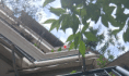 /album/maios26/20260529-105612-av-gif/